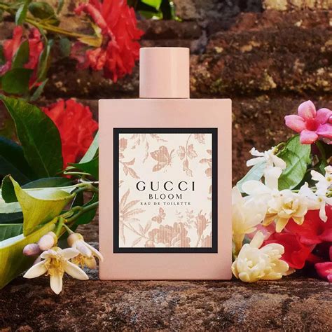 gucci bloom site fragrantica.com|gucci bloom costco.